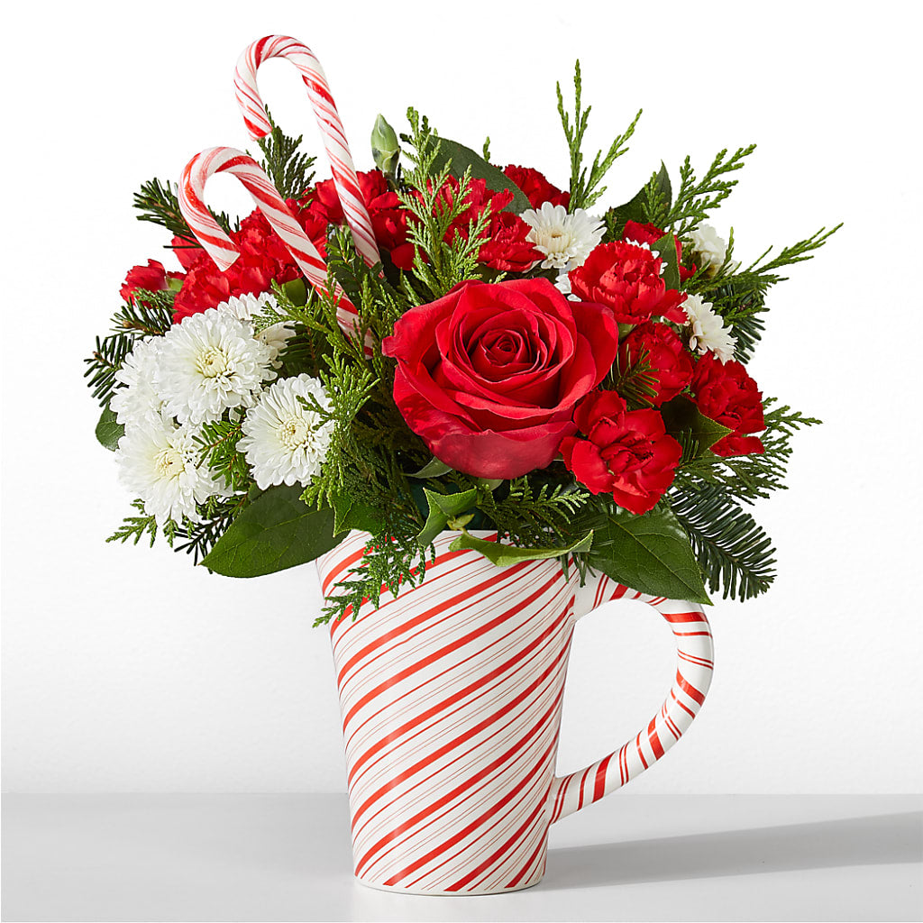 Peppermint Swirl Mug – Bittys Garden, Canon City CO