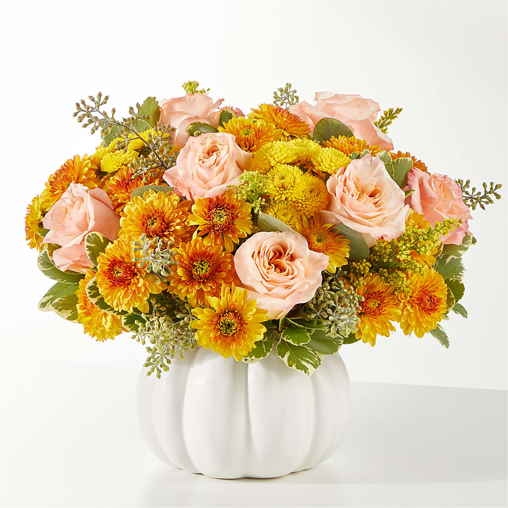 Peachy Pumpkin – Bittys Garden, Canon City CO