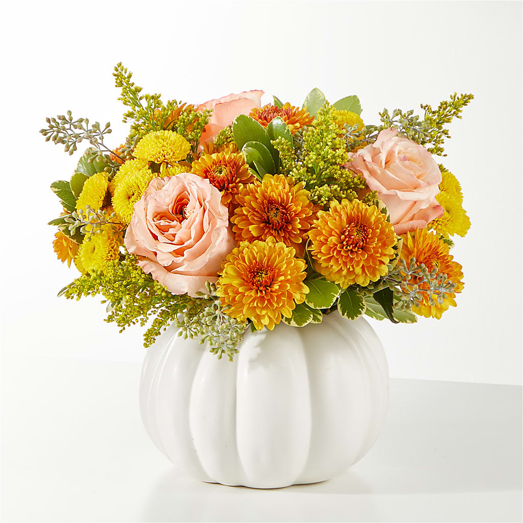 Peachy Pumpkin – Bittys Garden, Canon City CO