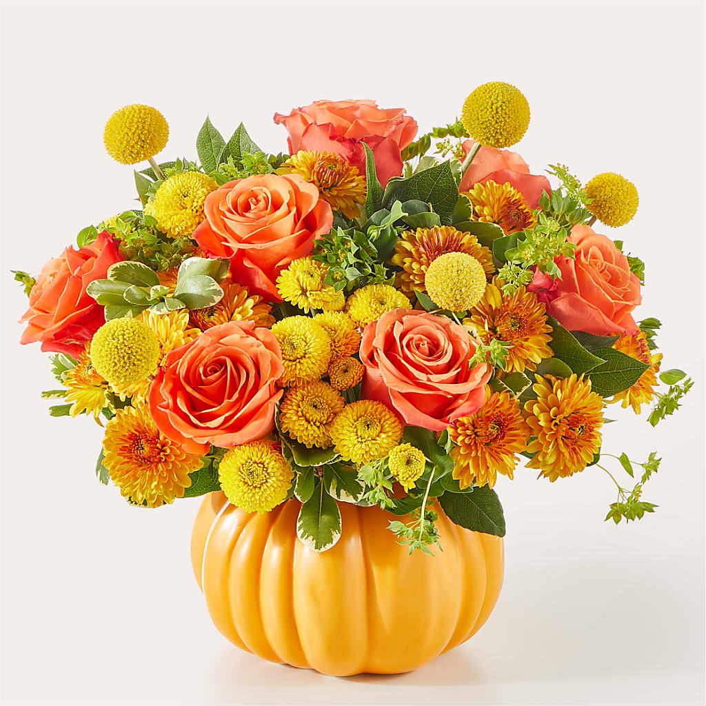 Gourdgeous Pumpkin – Bittys Garden, Canon City CO