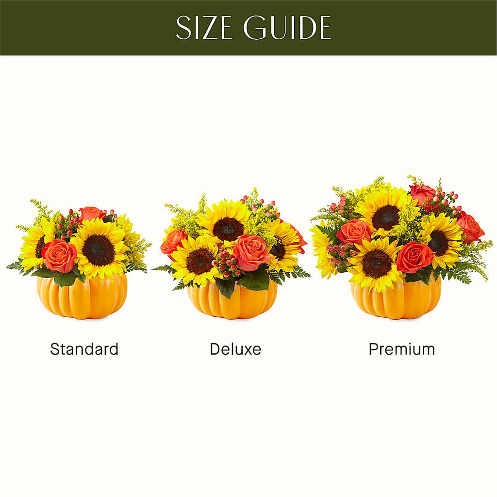 Pick of the Patch Pumpkin Bouquet – Bittys Garden, Canon City CO