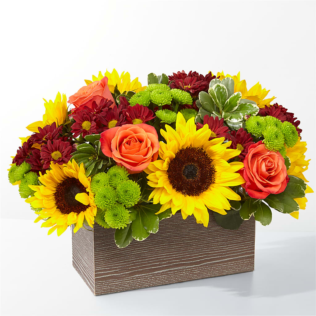 Happy Harvest Garden – Bittys Garden, Canon City CO