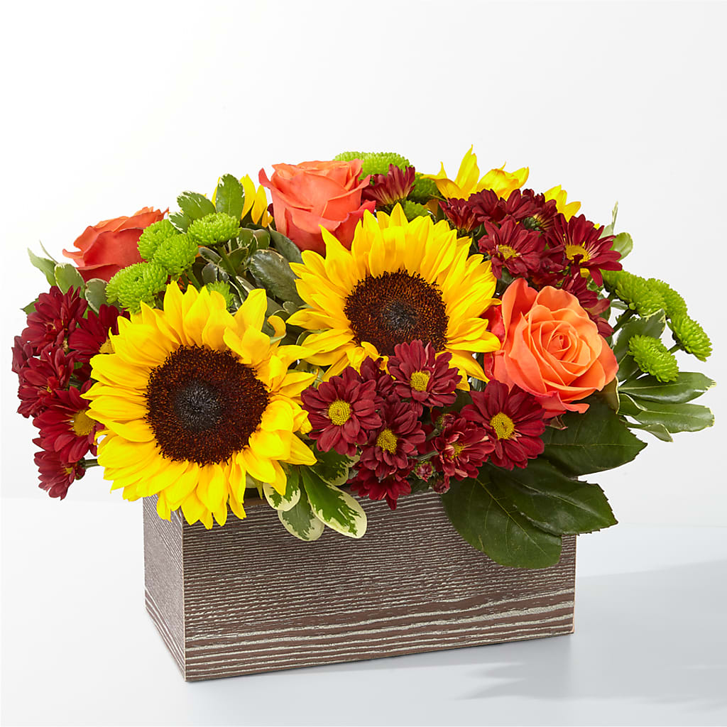Happy Harvest Garden – Bittys Garden, Canon City CO
