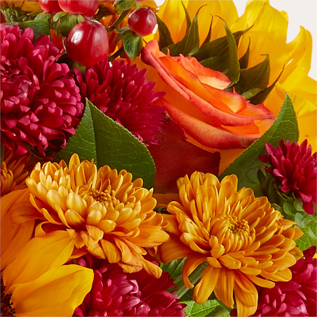 Sweater Season - A Florist Original – Bittys Garden, Canon City CO