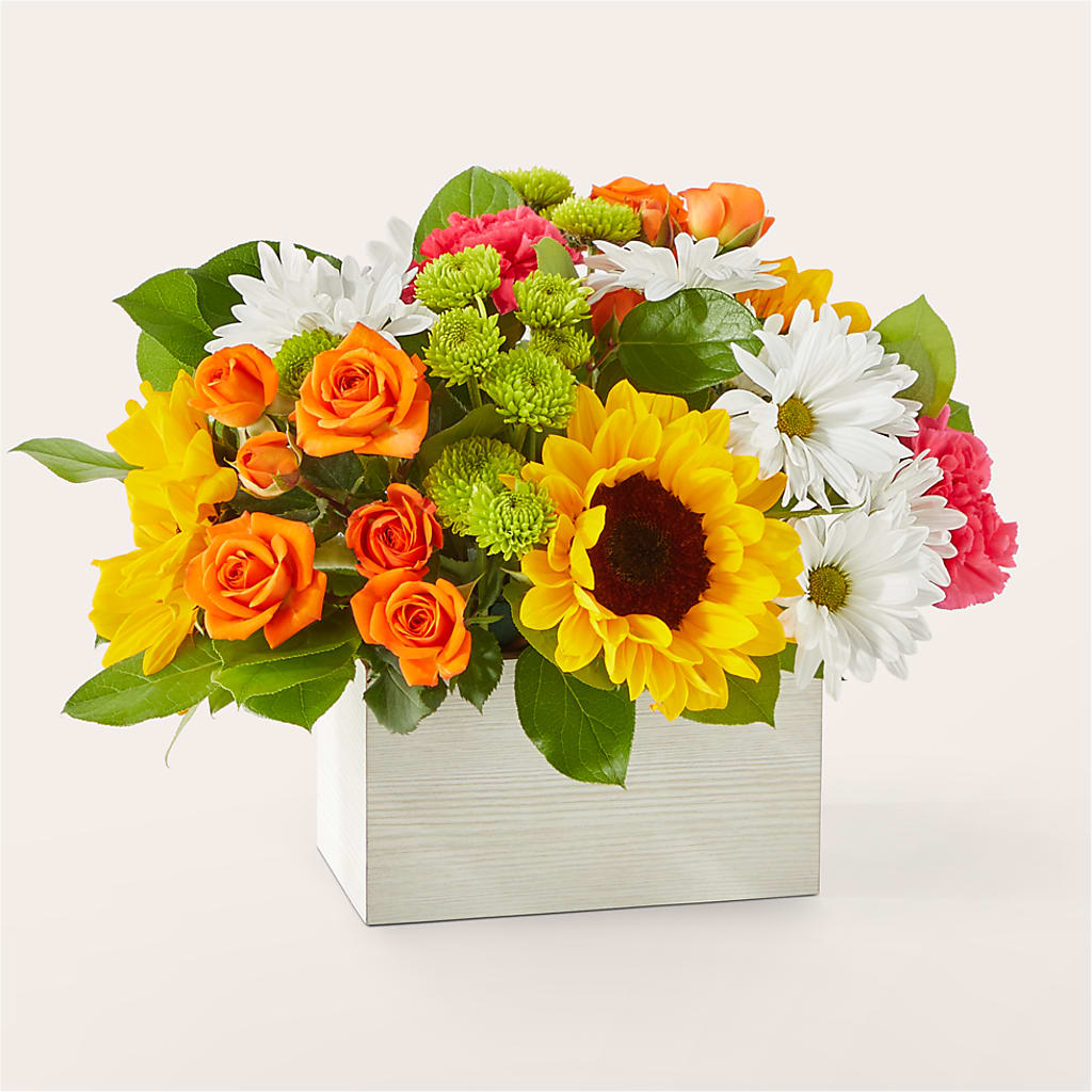 Sun-drenched Blooms Box Bouquet – Bittys Garden, Canon City CO