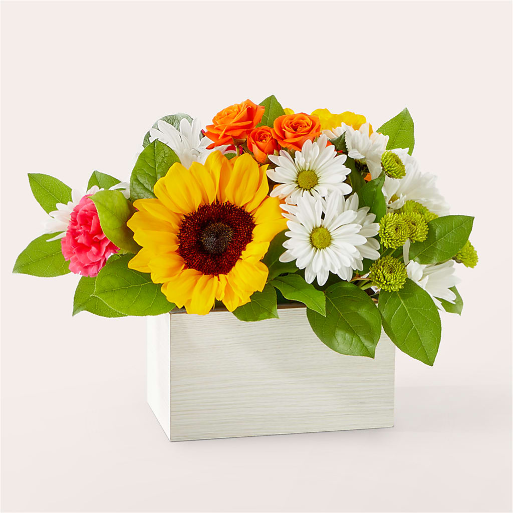 Sun-drenched Blooms Box Bouquet – Bittys Garden, Canon City CO