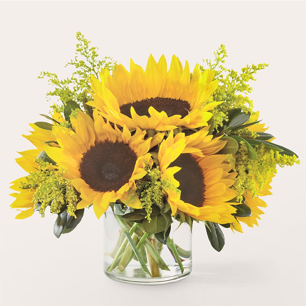 Beaming Sunflower Bouquet – Bittys Garden, Canon City CO