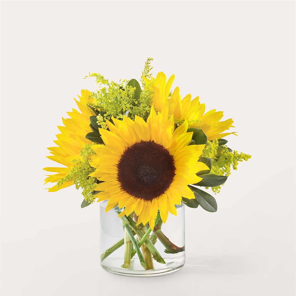 Beaming Sunflower Bouquet – Bittys Garden, Canon City CO
