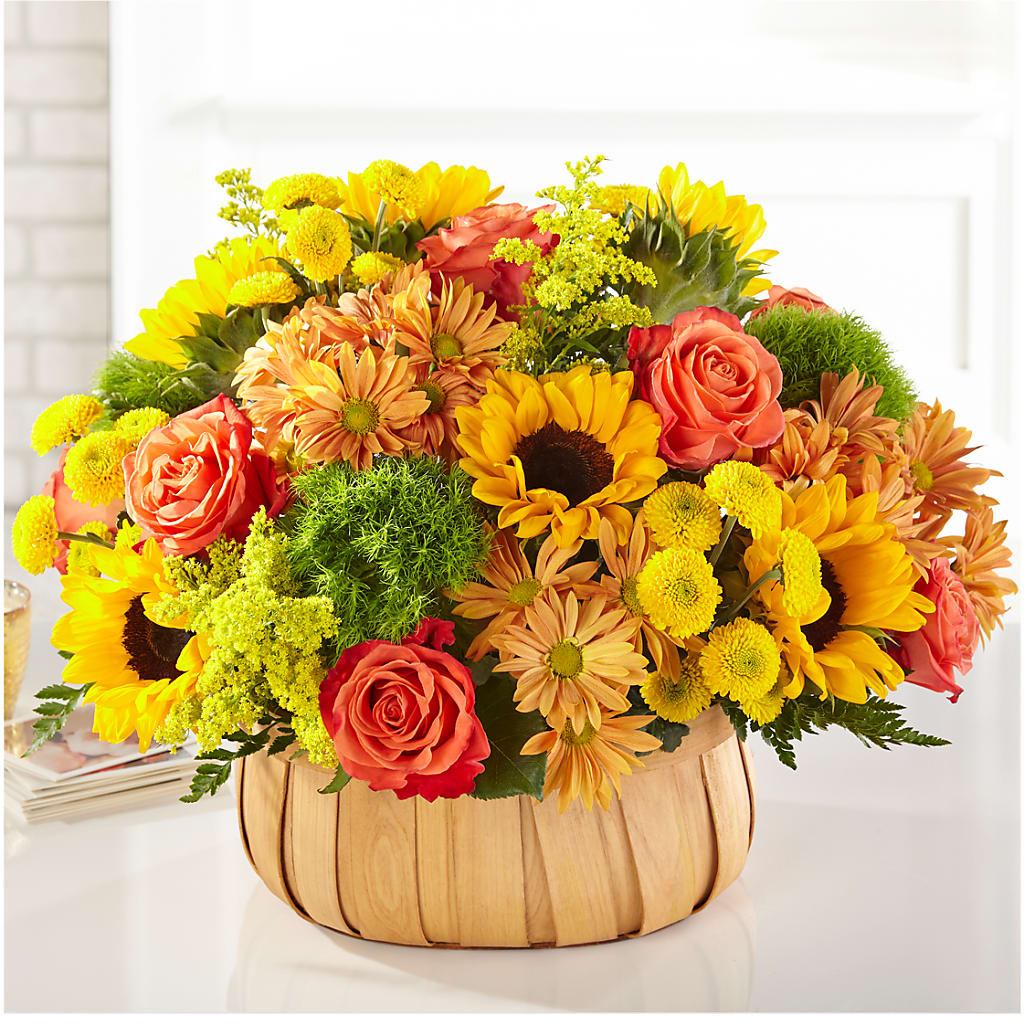 Harvest Sunflower Basket – Bittys Garden, Canon City CO