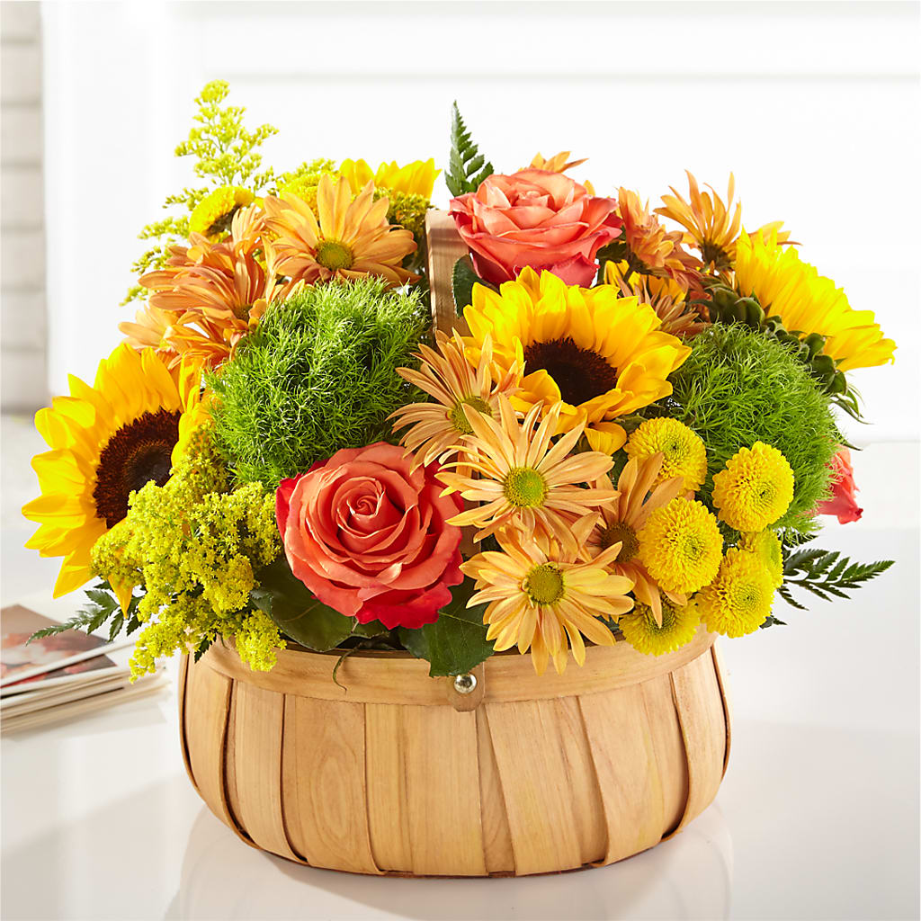 Harvest Sunflower Basket – Bittys Garden, Canon City CO