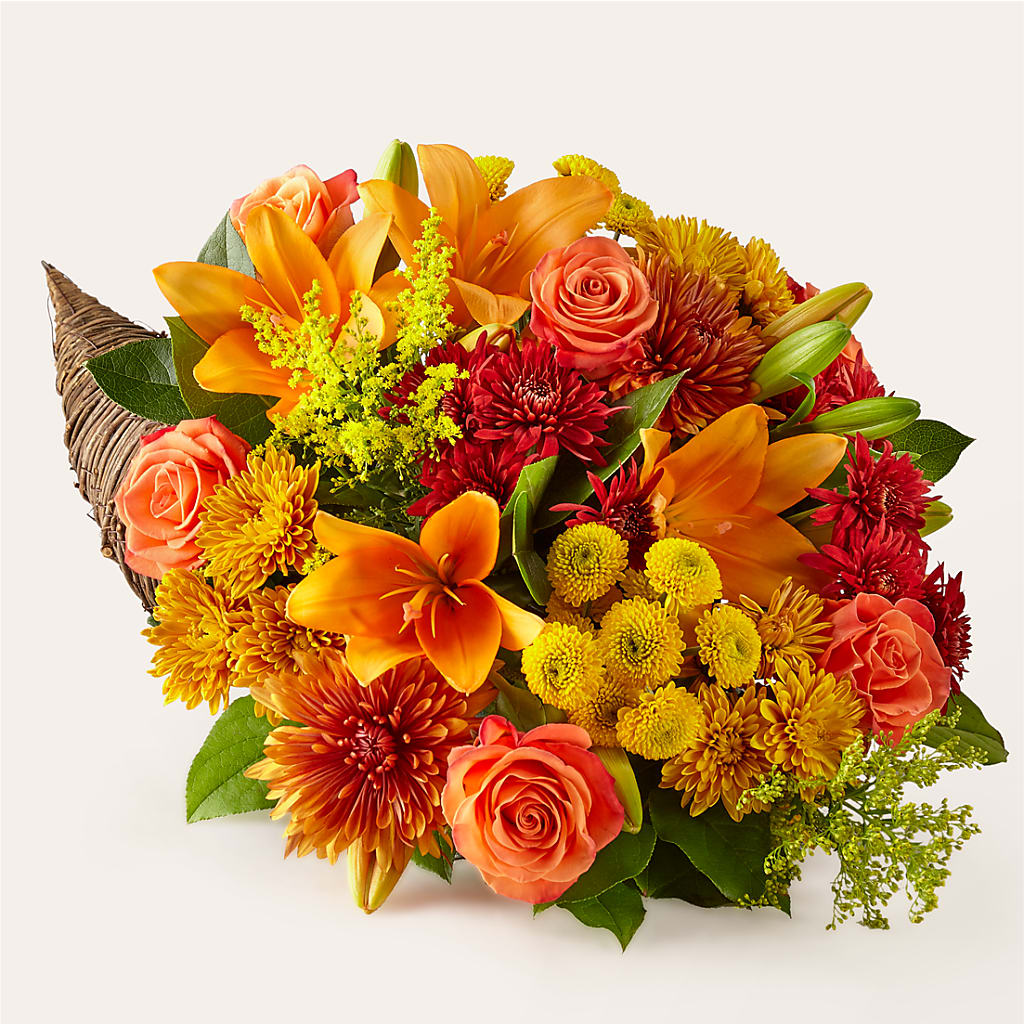 Feast of Color Cornucopia – Bittys Garden, Canon City CO