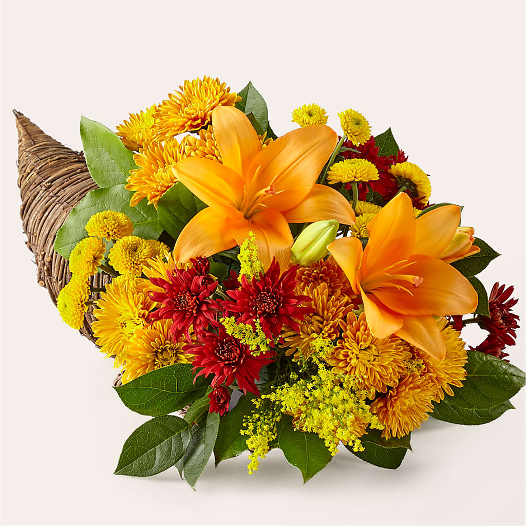 Feast of Color Cornucopia – Bittys Garden, Canon City CO