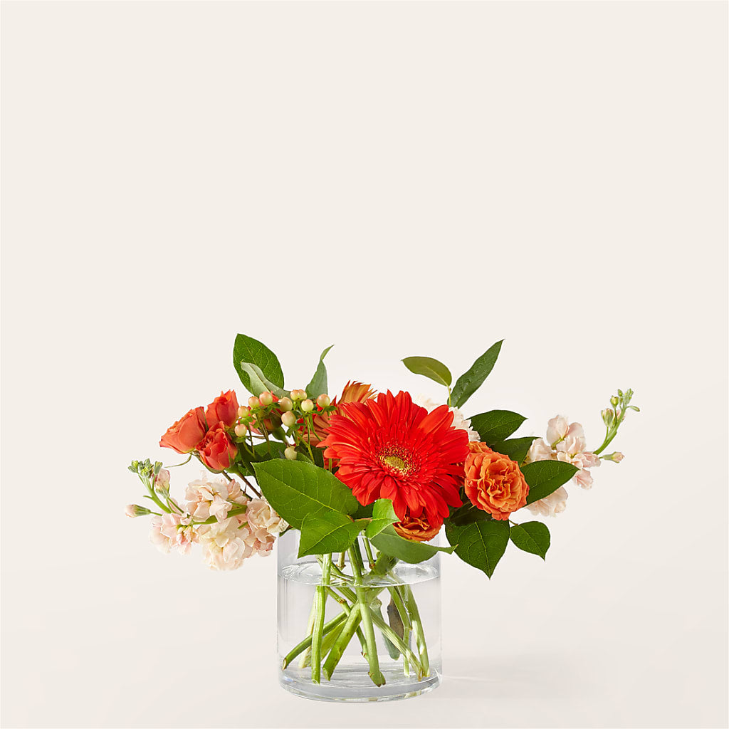 Paloma Please Bouquet – Bittys Garden, Canon City CO