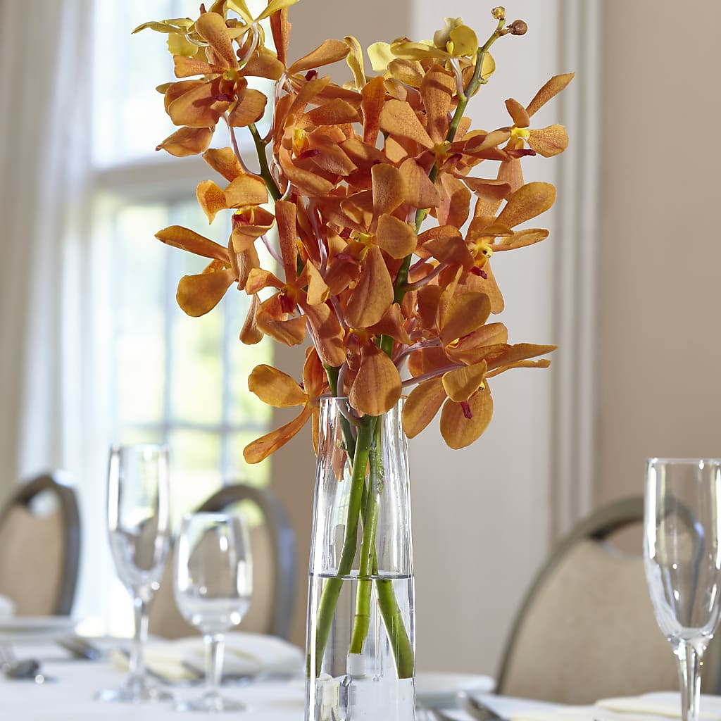 Orange Mokara Bud Vase – Bittys Garden, Canon City CO