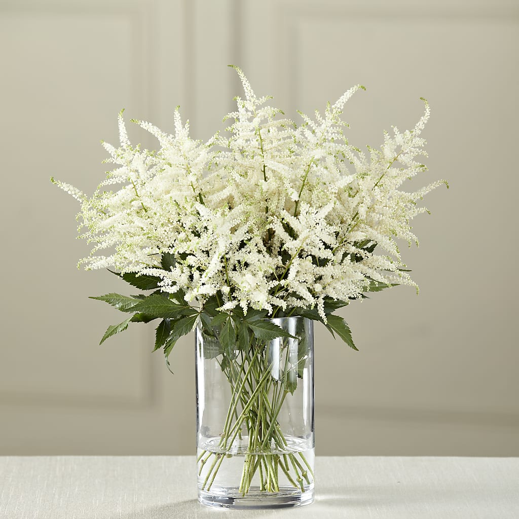 White Astilbe Bouquet – Bittys Garden, Canon City CO