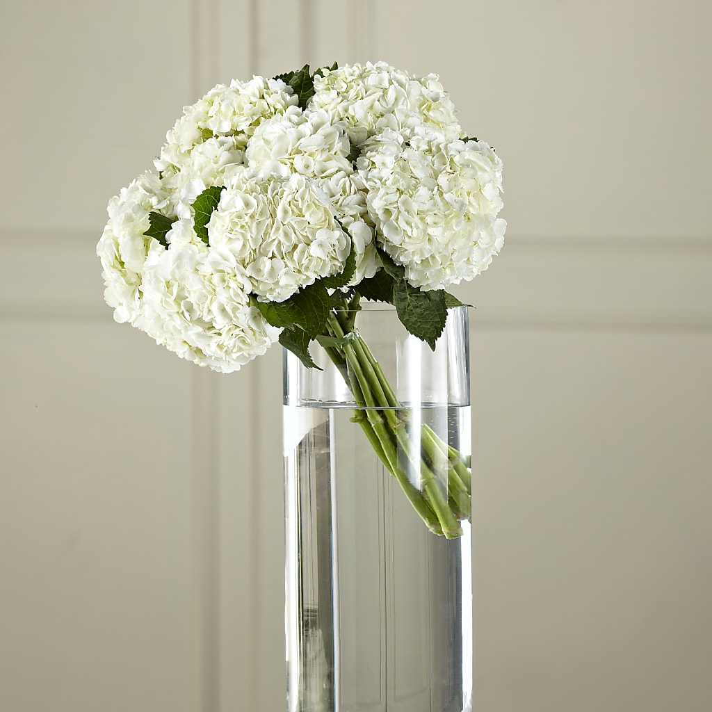 White Hydrangea Hand-Tied Bouquet – Bittys Garden, Canon City CO