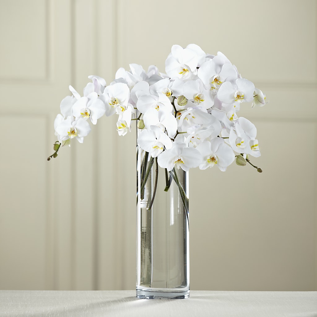 White Phalaenopsis Bouquet – Bittys Garden, Canon City CO