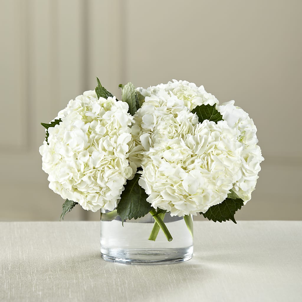 White Hydrangea Bouquet – Bittys Garden, Canon City CO