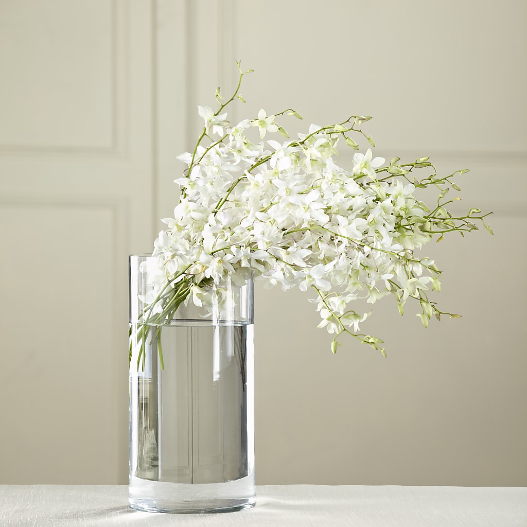 White Dendrobium Bouquet – Bittys Garden, Canon City CO