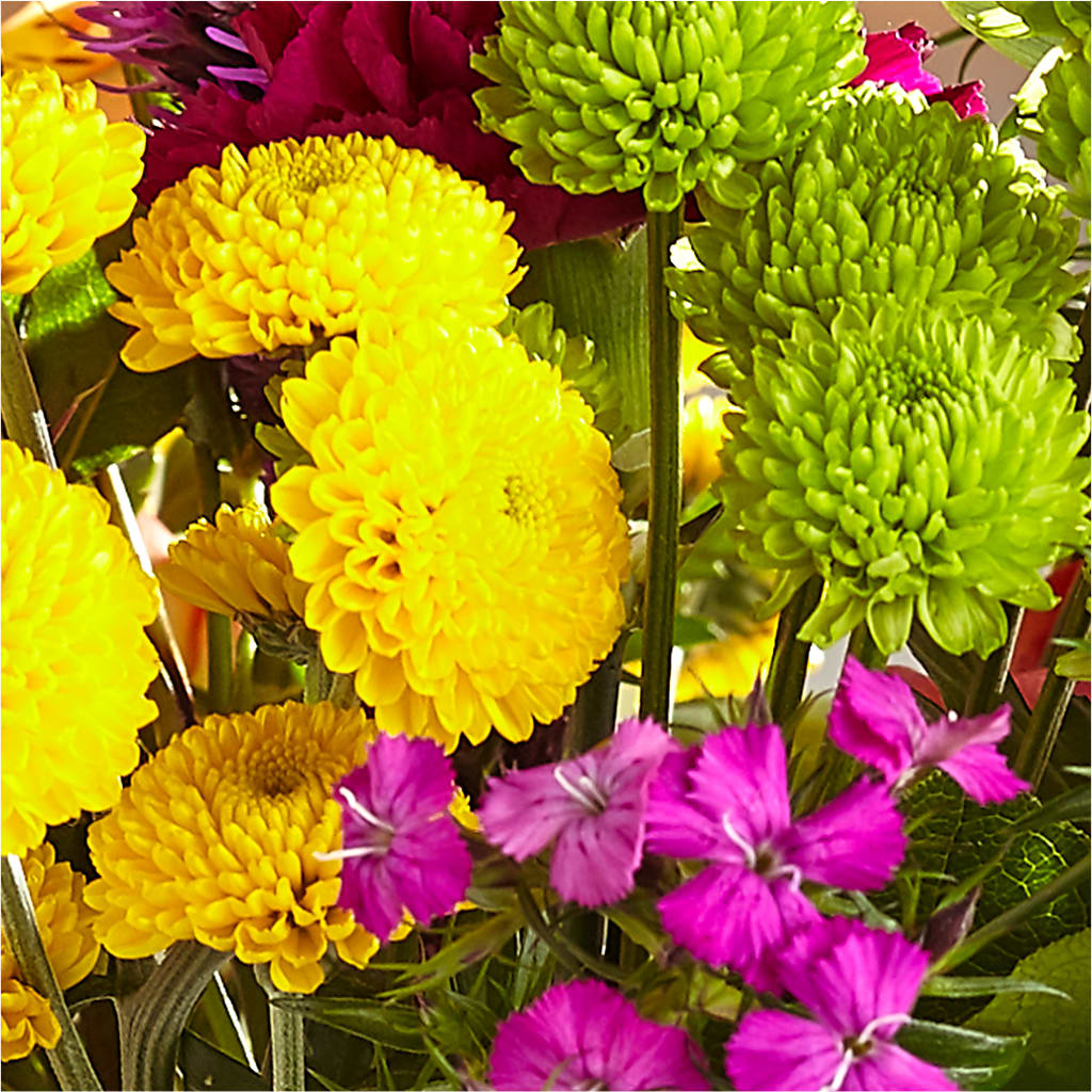 Bold & Bright – A Florist Original –  Bittys Garden, Canon City CO