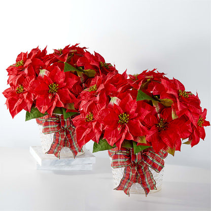 Happiest Holidays Poinsettia Bundle –  Bittys Garden, Canon City CO