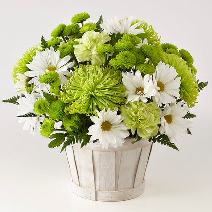 Lucky Charm Basket (Standard) –  Bittys Garden, Canon City CO