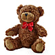 Adorable Plush Bear –  Bittys Garden, Canon City CO