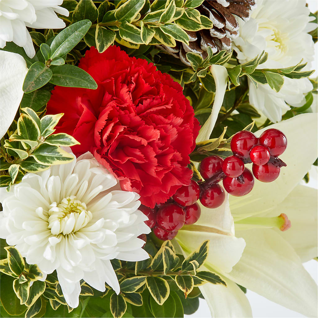 Festive Moments Tree –  Bittys Garden, Canon City CO