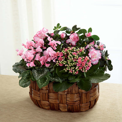 Pink Assortment –  Bittys Garden, Canon City CO