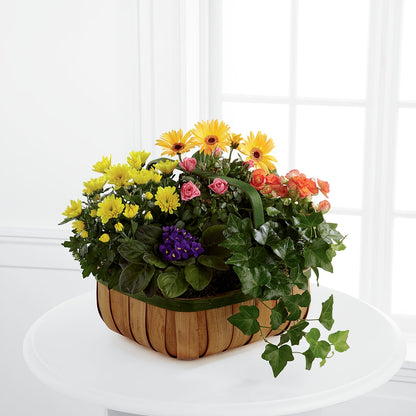 Gentle Blossoms Basket –  Bittys Garden, Canon City CO
