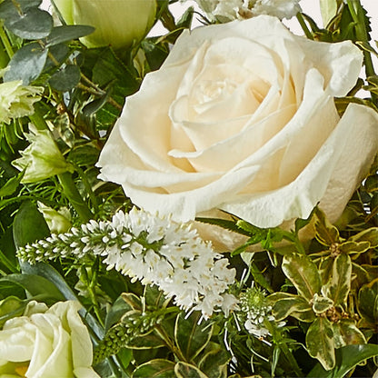 Cashmere Bouquet –  Bittys Garden, Canon City CO