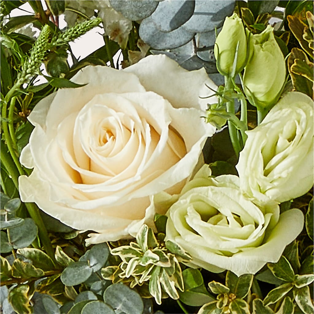 Cashmere Bouquet –  Bittys Garden, Canon City CO