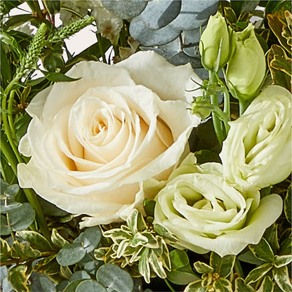 Cashmere Bouquet –  Bittys Garden, Canon City CO