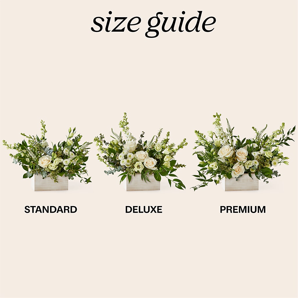 Cashmere Bouquet –  Bittys Garden, Canon City CO
