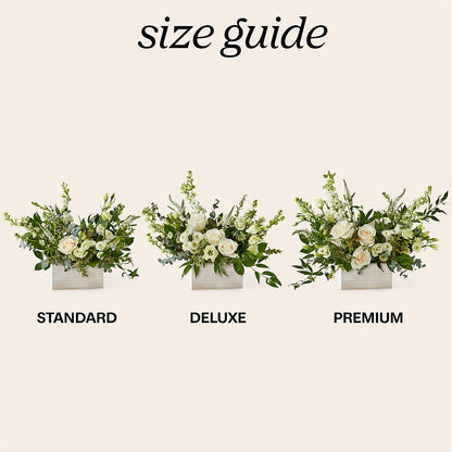 Cashmere Bouquet –  Bittys Garden, Canon City CO