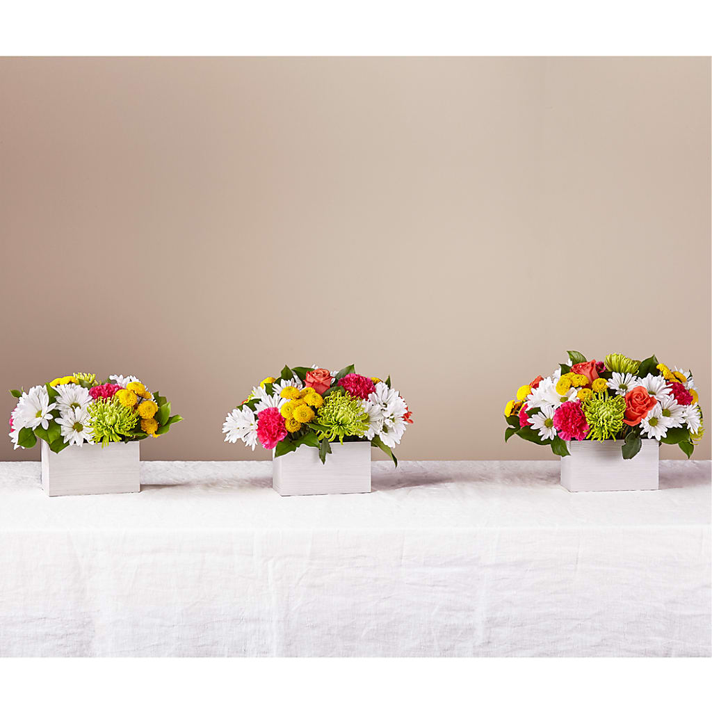 Sorbet Bouquet –  Bittys Garden, Canon City CO