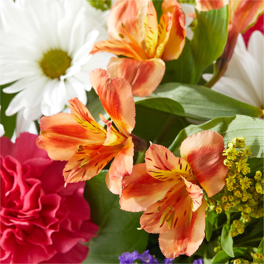 Oopsie Daisy Box Bouquet –  Bittys Garden, Canon City CO