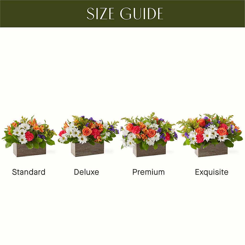 Oopsie Daisy Box Bouquet –  Bittys Garden, Canon City CO