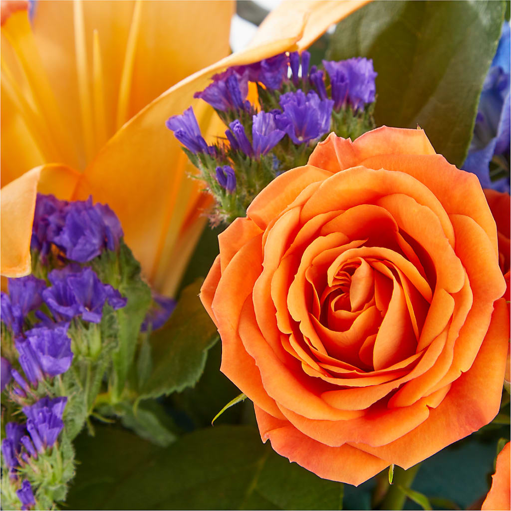 Radiant Citrus Box Bouquet –  Bittys Garden, Canon City CO