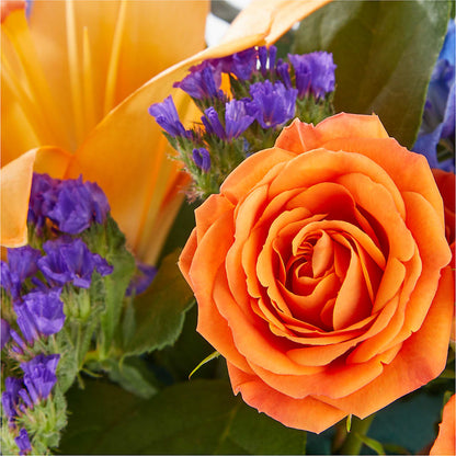 Radiant Citrus Box Bouquet –  Bittys Garden, Canon City CO