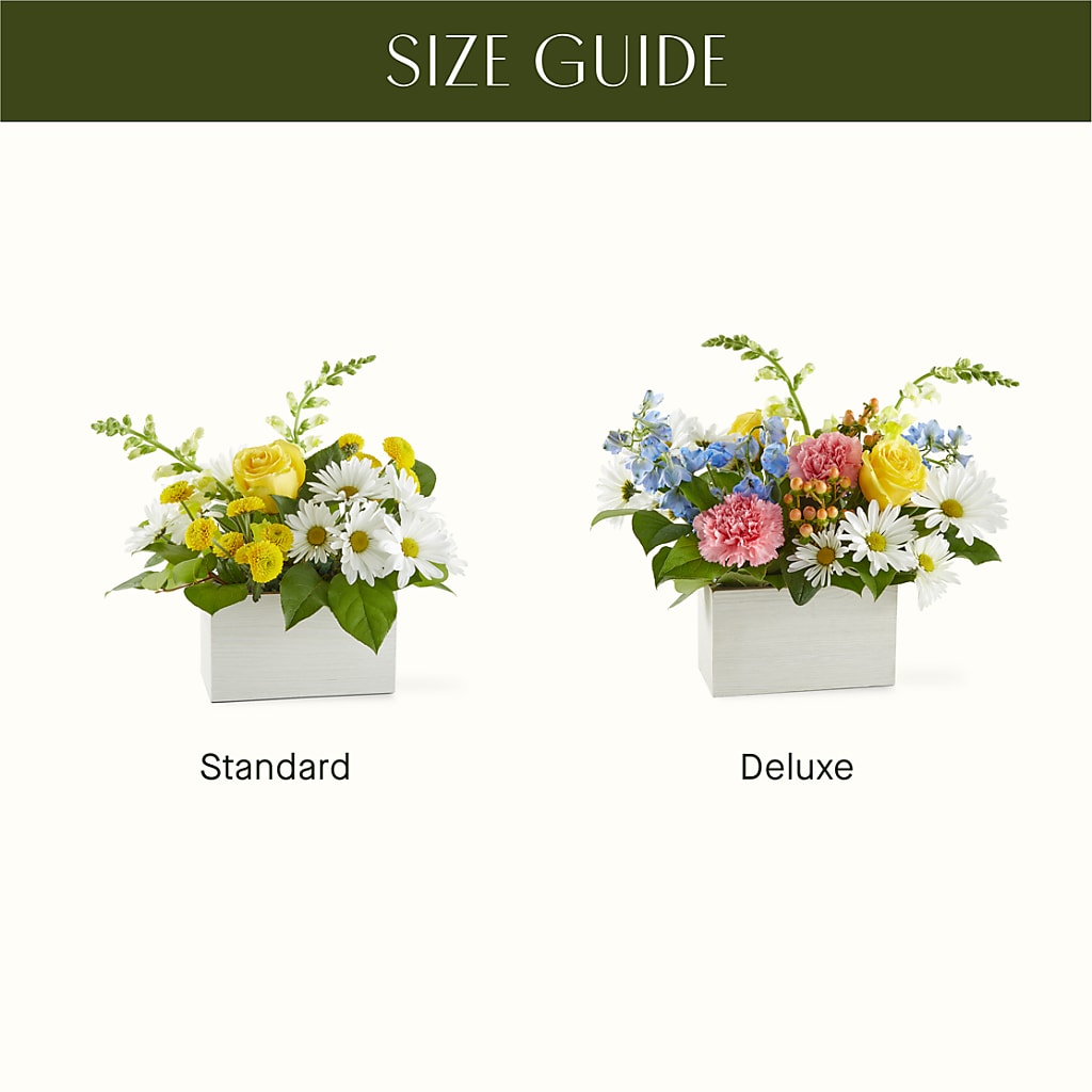 Sun Salutation Box Bouquet –  Bittys Garden, Canon City CO