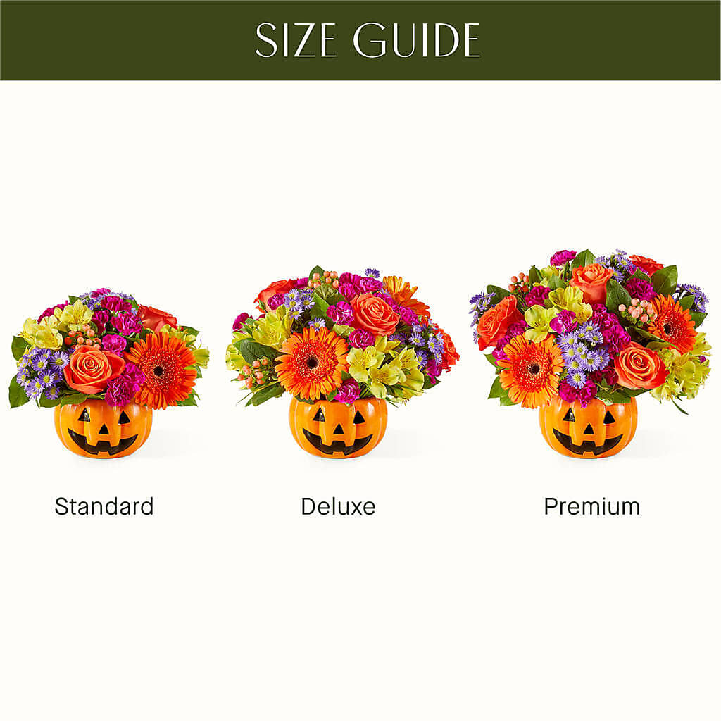 Tricks & Treats Pumpkin –  Bittys Garden, Canon City CO