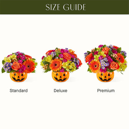 Tricks & Treats Pumpkin –  Bittys Garden, Canon City CO