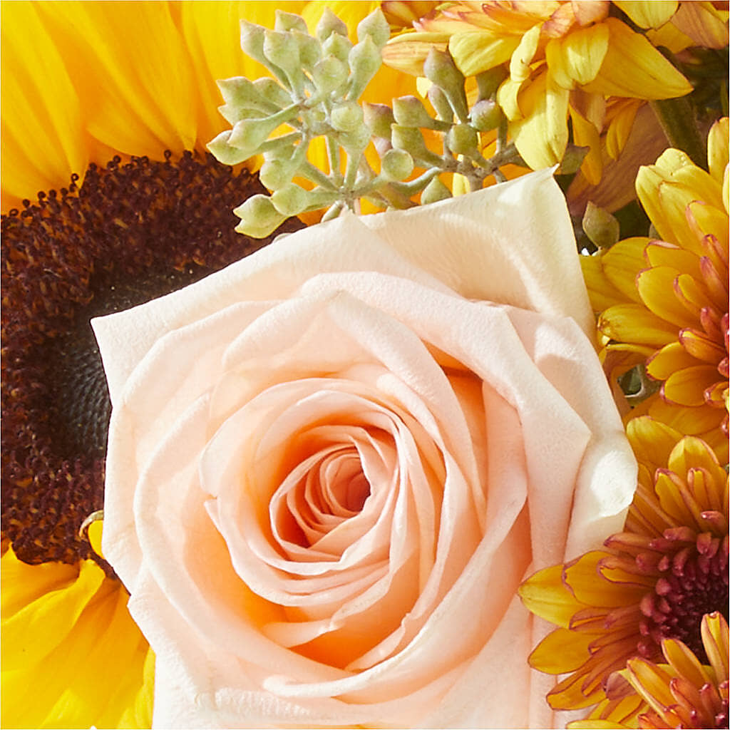 Pumpkin to Talk About Bouquet –  Bittys Garden, Canon City CO