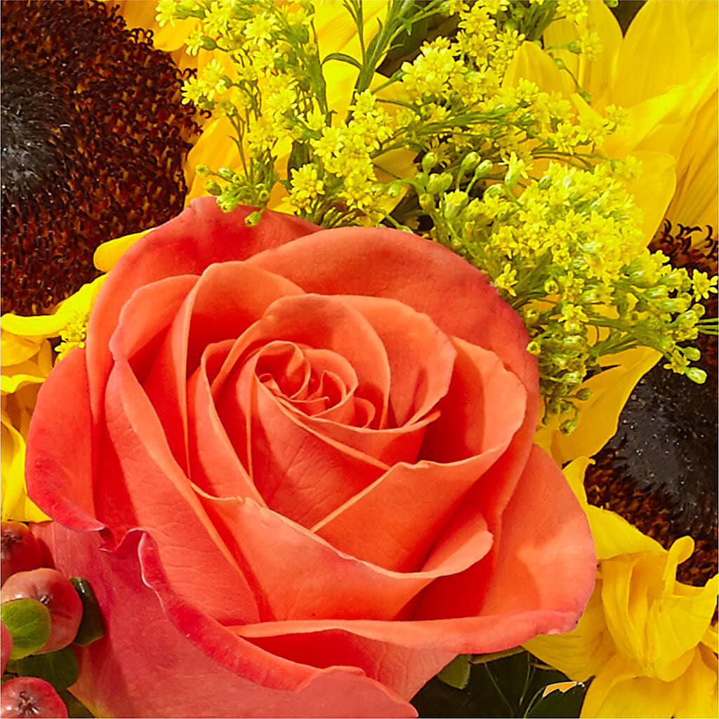 Pick of the Patch Pumpkin Bouquet –  Bittys Garden, Canon City CO