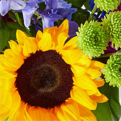 Catching Rays Bouquet –  Bittys Garden, Canon City CO