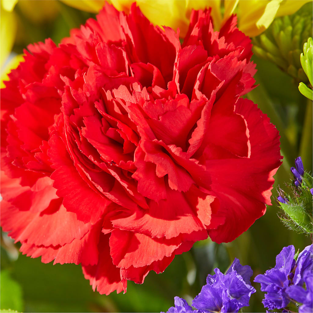 Brighter Days Bouquet –  Bittys Garden, Canon City CO
