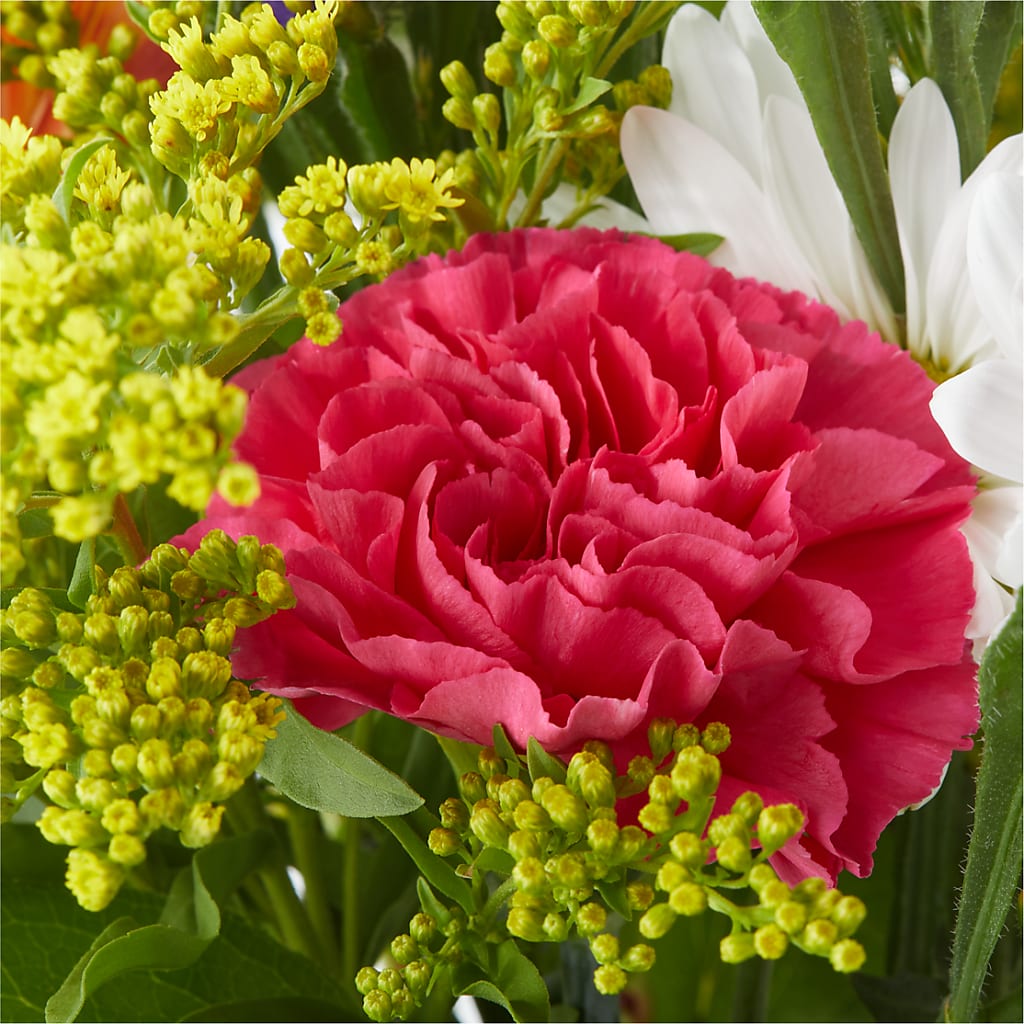 Oopsie Daisy Bouquet –  Bittys Garden, Canon City CO