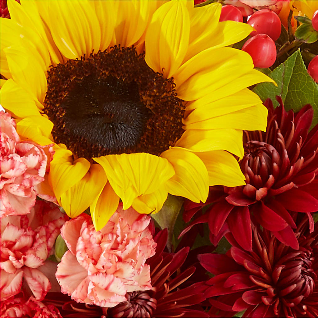 Fresh Cider Bouquet –  Bittys Garden, Canon City CO