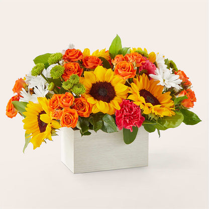 Sun-drenched Blooms Box Bouquet –  Bittys Garden, Canon City CO